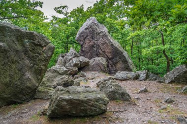 Little Carpathian dağları, Modra, Slovakya 'daki gözcü kulesi Kukla' nın ahşap yapısı. Ormanın ortasında bir yerde..