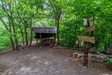 Little Carpathian dağları, Modra, Slovakya 'daki gözcü kulesi Kukla' nın ahşap yapısı. Ormanın ortasında bir yerde..