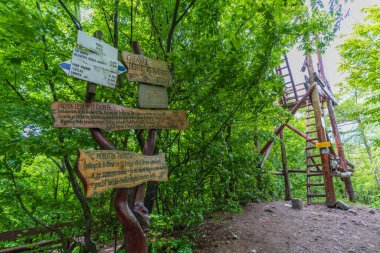 Little Carpathian dağları, Modra, Slovakya 'daki gözcü kulesi Kukla' nın ahşap yapısı. Ormanın ortasında bir yerde..