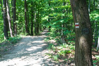 Slovakya, Zilina 'daki Duben Tepesi' nin tepesinde gözcü kulesi