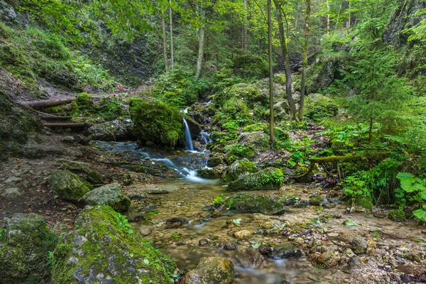 Janosikove Diery Słynna Miejscowość Turystyczna Słowacji Wiele Wodospadów Ławek Łańcuchów — Zdjęcie stockowe