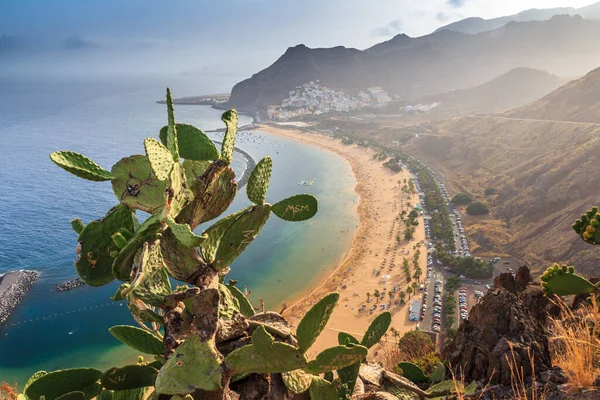 Ünlü sahil ve okyanus manzarası Playa de las Teresitas, Tenerife, Kanarya Adaları, İspanya