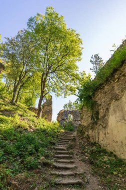 Dobra Voda Şatosu, Trnava Bölgesi 'ndeki Dobr Voda köyünün yukarısındaki Küçük Karpatlar' ın merkezinde yer alan Gotik bir şatonun harabesidir.
