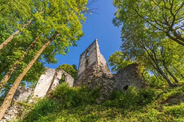 Κάστρο Dobra Voda Είναι Ένα Ερείπιο Ενός Γοτθικού Κάστρου Που — Φωτογραφία Αρχείου