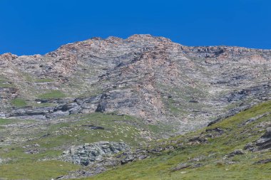 İtalyan dağlarda yüksek koyun otlatma sürüleri.