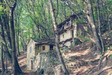 Kadın ellerinde iguana