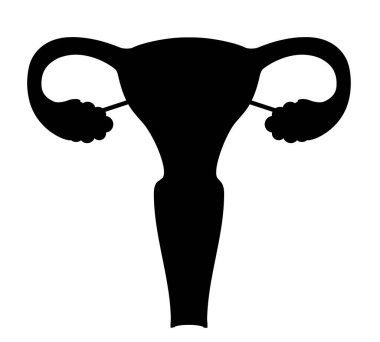 Bir kadın rahminin silüeti.