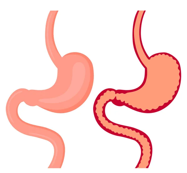 Llustration de l'estomac d'un homme — Image vectorielle