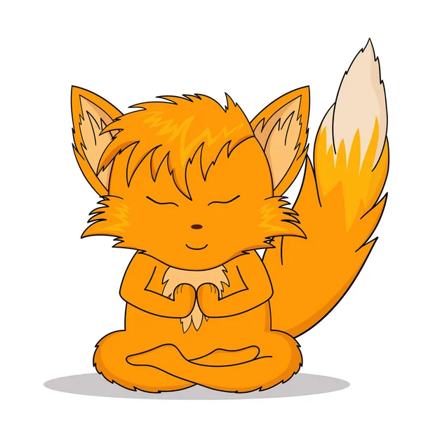 Tilki meditasyon yapıyor..