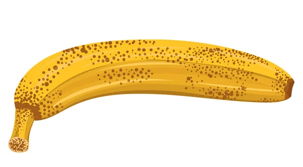 Illustration d'une banane mûre — Image vectorielle