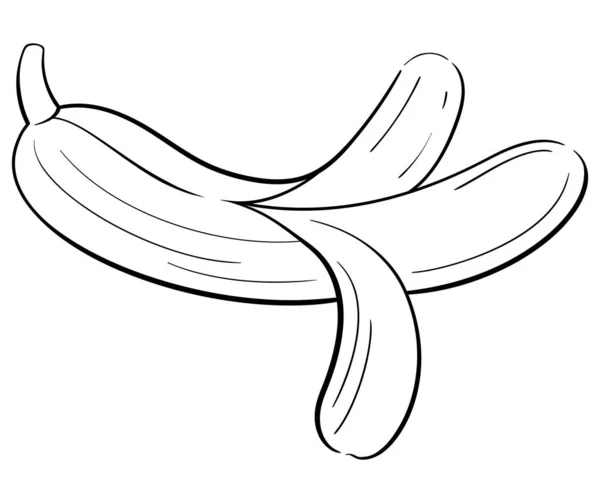 Ilustración del dibujo de la línea banana — Vector de stock