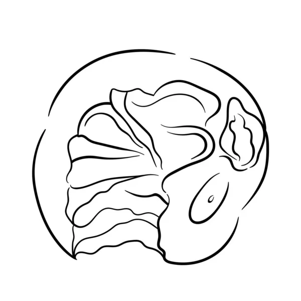 Kreslit jablko pokousané čárami. Obrázek čar kousnutí jablka. — Stockový vektor