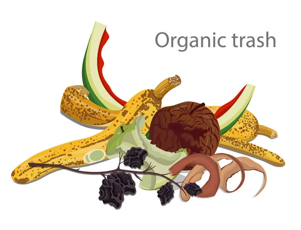 Vektorová ilustrace organických odpadků. Stock Vektory