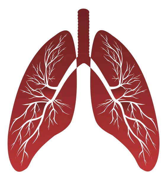 Dibujo médico de los pulmones — Archivo Imágenes Vectoriales