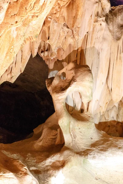 Image Dog Cango Caves Oudtshoorn Little Karoo South Africa — Stock Photo, Image