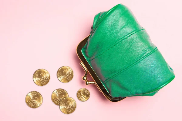 Purse for coins.Wallet for change. Leather purse, purse on a pin — Stock Photo, Image