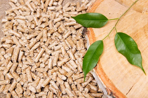 Wood pellets, birch and twig with leaves. Biomass Pellets- cheap Stock Photo