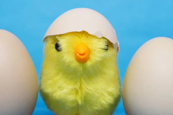 Niña Huevo Agrietado Cabeza Pájaro Juguete Dos Huevos —  Fotos de Stock