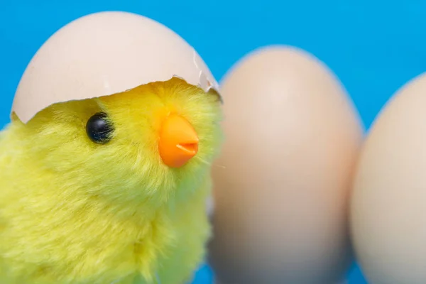 Niña Huevo Agrietado Cabeza Pájaro Juguete Dos Huevos —  Fotos de Stock
