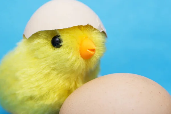 小妞和他头上的破蛋玩具鸟和蛋 — 图库照片