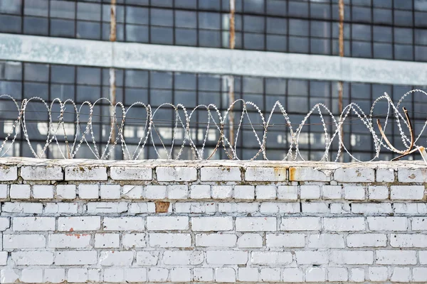 Paslı çit dikenli tel arka plan hapishane veya bitki ile