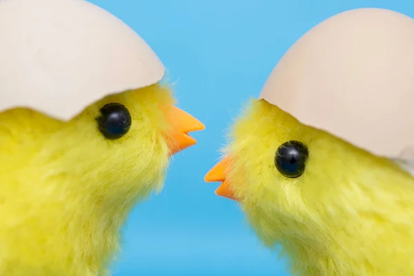 Dwa Chick Dziecko Jaj Głowach Zabawka Ptaków Skorupy Jaj Wylęgowych — Zdjęcie stockowe
