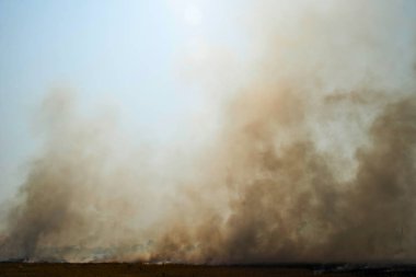 Yangından yükselen yoğun duman