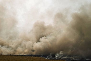 Yangından yükselen yoğun duman