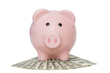 Pembe kumbara dolar. İş, finans, yatırım, tasarruf ve yolsuzluk kavramı - dolar nakit para ve kumbara yakın