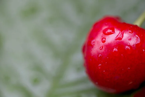 Beere Kirsche Auf Blatt Hintergrund — Stockfoto