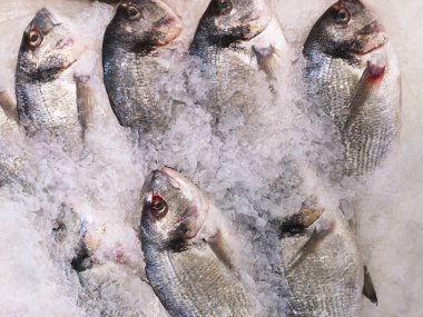 Dorada buz deniz ürünleri standında. Yatay yukarıdan dorada balık pazarında bir buz masada
