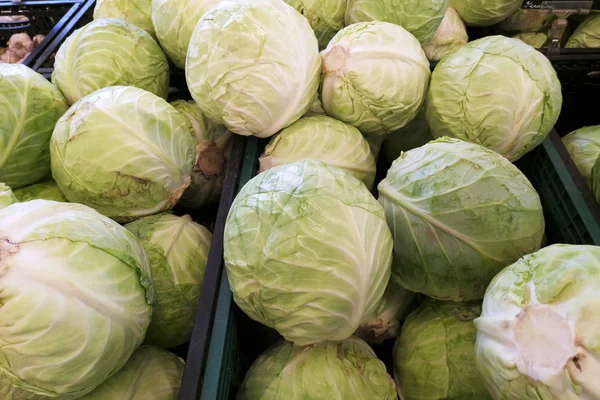 Kohl Gemüsesupermarkt Zum Verkauf Kohl Hintergrund Frisches Kohl Vom Feld — Stockfoto