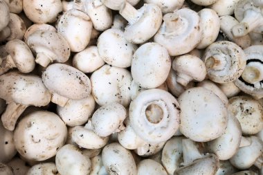 Petrol birçok beyaz mantar. Petrol piyasasında kutularındaki mantar