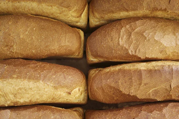 Bread background, top view of white loaves. Many breads shot from above