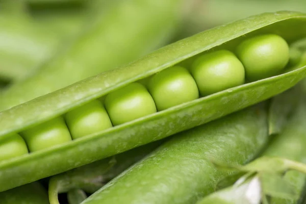 Beautiful Close Green Fresh Peas Pea Pods Healthy Food — Stock Photo, Image