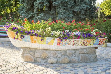 Bir tencereye çiçek sokak. Taş bir tekne şeklinde bir tencerede sokak çiçek