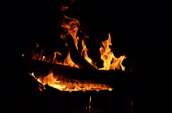 Fuego Brilla Fondo Fuego Ardiente Ramas Secas Fuego Naturaleza — Foto de Stock
