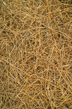 Saman, truss saman küme. arka plan