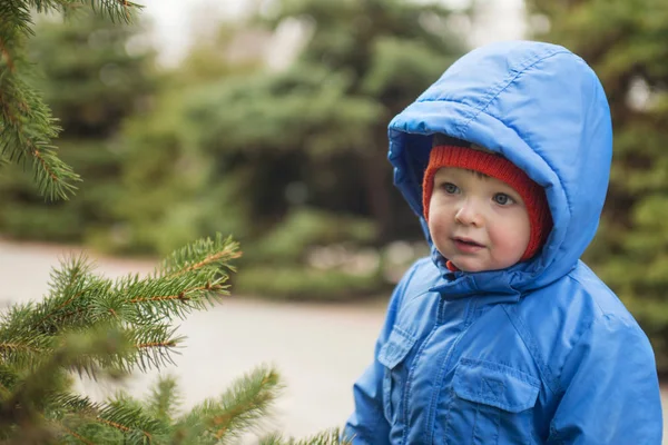 Anak Berjalan Dekat Pohon Natal — Stok Foto