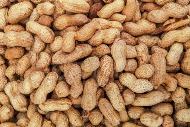 Fıstık kabuğu doku arka planda. Bir çiftçinin Pazar ekranda çiğ fıstık