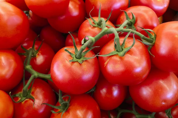 Delicious red tomatoes. Red tomatoes background. Group of tomatoes. Red tomatoes at market