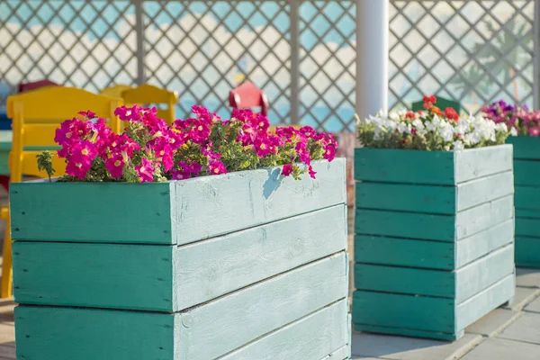 Town Blommor Stora Trä Krukor Gatan Inredning Gatan Café Med — Stockfoto