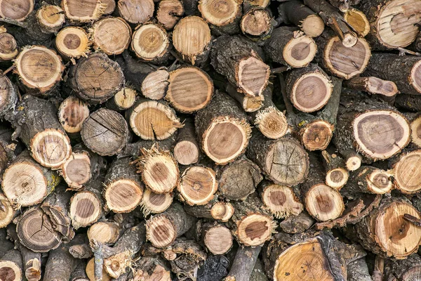 Pile of wood logs. Wood logs texture background. Pile of wood logs ready for winter. Pile of wood logs storage for industry