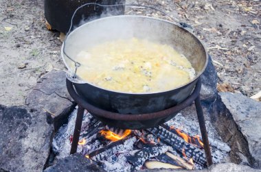 Metal tencereye bir kapak ve yemek pişirmek için kullanılan tripod üzerindeki kolu ile. Doğada yanıyor Melon şapkalı bir pişirme