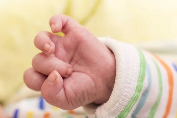 Yeni Doğan Bebek Çocuğun Elleri Bebeğin — Stok fotoğraf