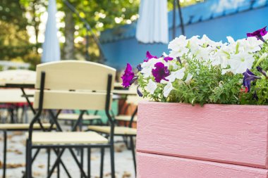Cafe masa ve sandalyeler sokakta ile. Çiçek ve tablolar Kafe'nin rahat sokak