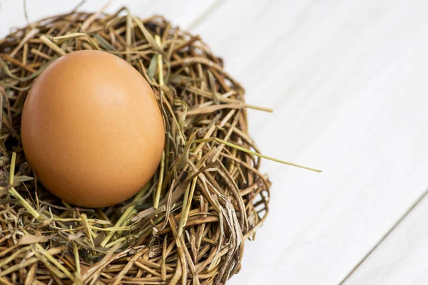 Bird nest with big egg on white wooden background. Egg in nest on white wooden background