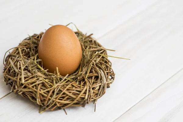 Ptak gniazdo z dużym jajkiem na białym tle drewnianym. Jajko w gnieździe na białym tle drewnianym — Zdjęcie stockowe