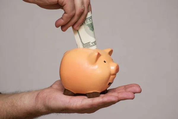 Male hand putting 100 dollar bill into a piggy bank. Save money concept — Stock Photo, Image