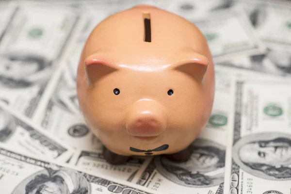 Pink piggy bank on dollars. Business, finance, investment, saving and corruption concept — Stock Photo, Image